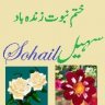 محمد سہیل سعید