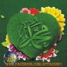 شافعہ نذیر