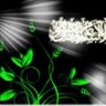 خالس سنی
